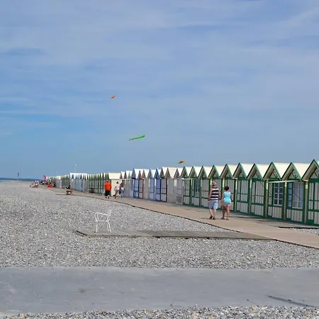 Le Chant Des Mouettes 1 * Berck